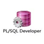 plsql developer14