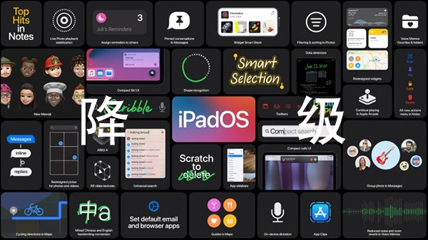 iPadOS 14ô iPadOS 14̳