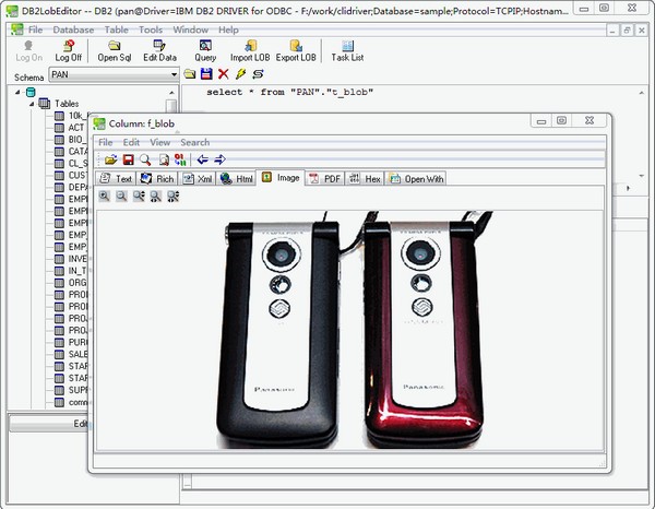 DB2LobEditor(db2ݿ༭)