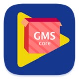 gms corev1.2.0                        