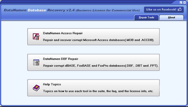 DataNumen Database Recovery(ݿָ)