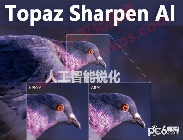 Topaz Sharpen AI(˹)(1)