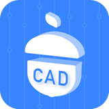 CAD