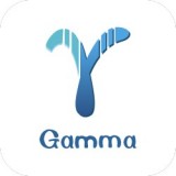 gammav1.0.8                        