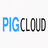 pig(权限管理系统)v2.10.0官方版