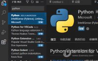 visual studio codepython չæ