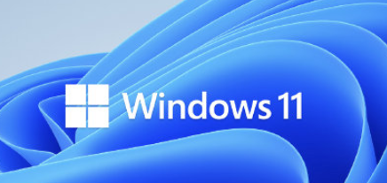 Win11ôWin11̳