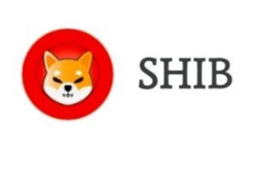 shibֻ shibֻڿ̳