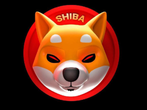 shibȮҽ̳,shibô