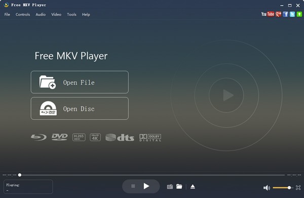 Aiseesoft Free MKV Player(MKV)