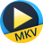 Aiseesoft Free MKV Player(MKV)