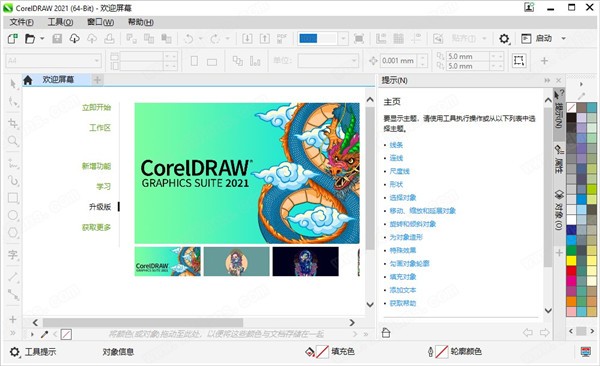 CorelDraw Graphics Suite 2021(ͼƹ)