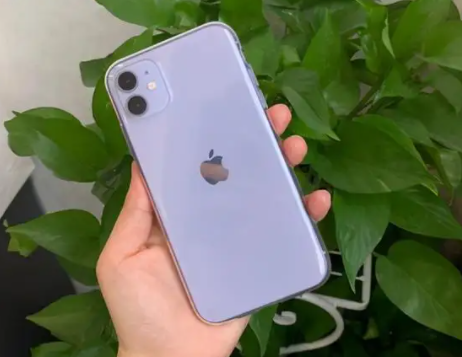 iPhone14iPhone11۶٣iPhone14к11ͣ