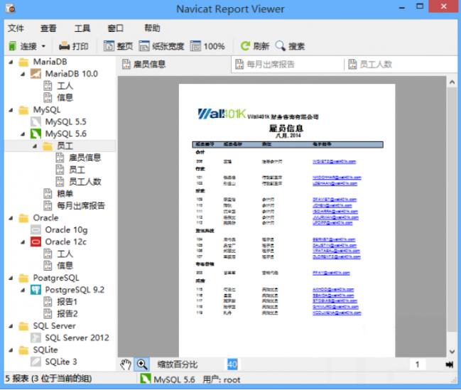 Navicat Report Viewer x64