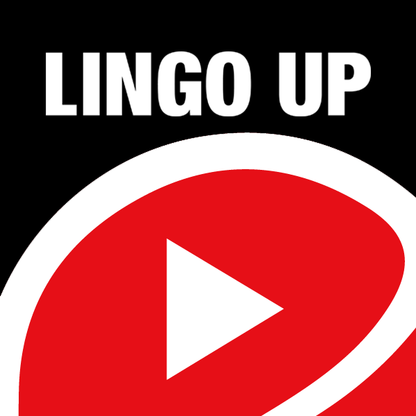 LingoUpv11.0 ׿