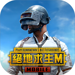 PUBG MOBILEʷ