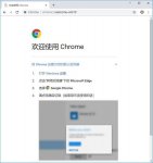 Chrome Canary81.0.4026.0 