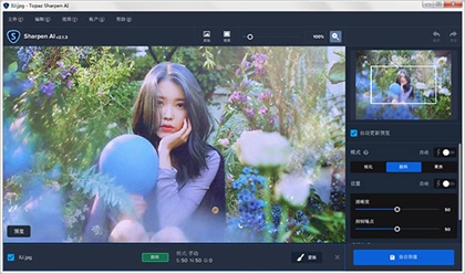Topaz Sharpen AI2(AIͼ񻯹)