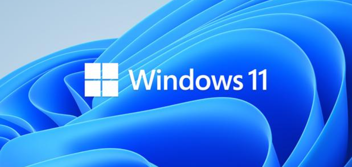 ΢windows11Ҫ