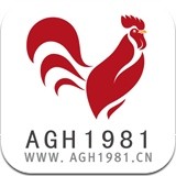 AGH1981v1.9.1.0129