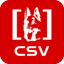 CSV(¹Ȯֲ)