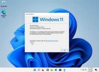 win11½Ϣôر win11½Ϣرշ