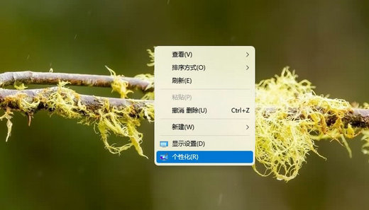 windows11ͼʾô