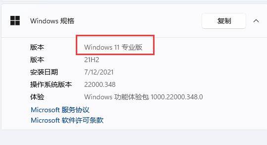 win11Ա༭򲻿ô win11Ա༭򲻿