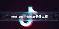 emotional damageʲô emotional damage