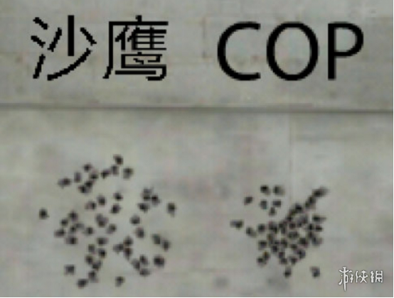 CFΡCOP357ô COP357ǿȽ