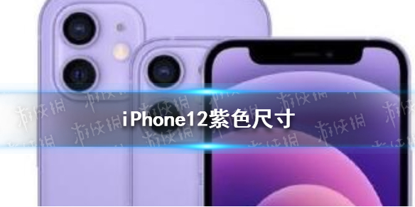 iphone12ɫߴ iPhone12ɫߴ