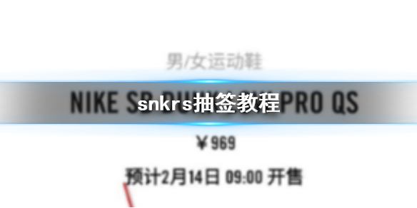 snkrsôǩ Ϳsnkrsǩ̳