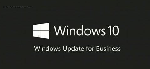 windows10ҵ漤